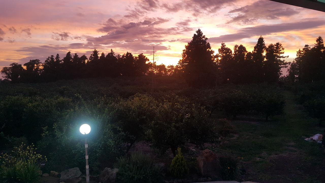 Jeju Mermuri Yerye-dong Bagian luar foto