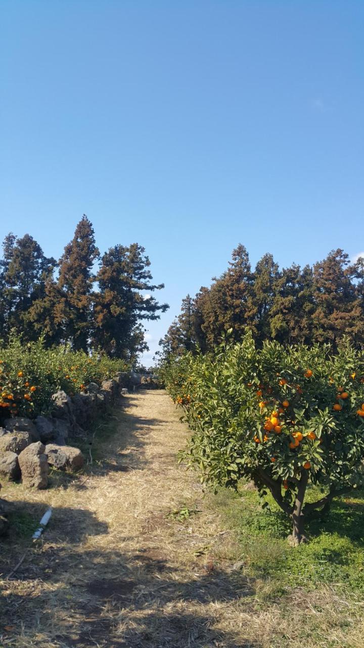 Jeju Mermuri Yerye-dong Bagian luar foto