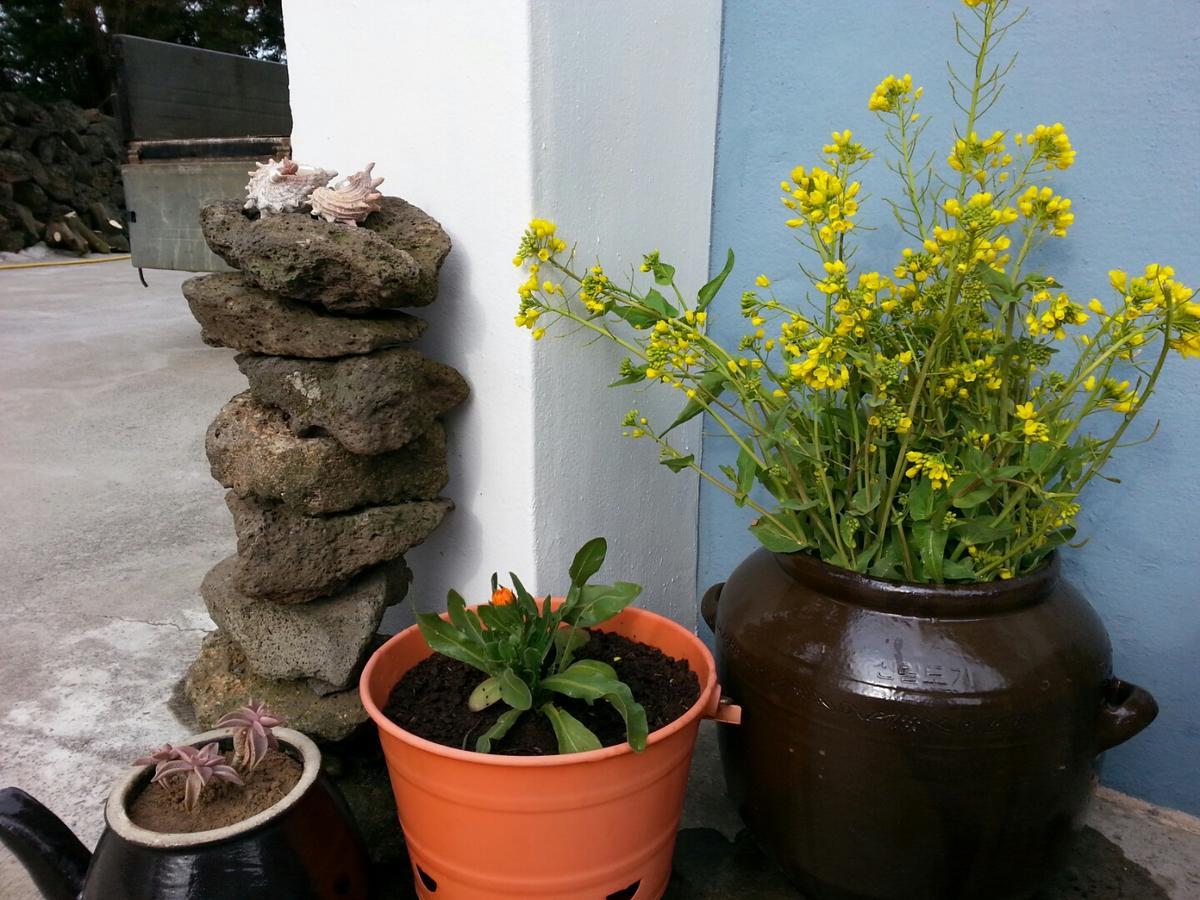 Jeju Mermuri Yerye-dong Bagian luar foto