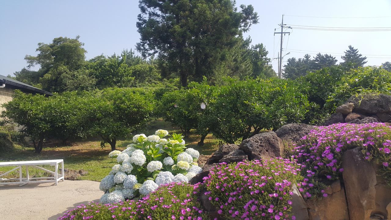Jeju Mermuri Yerye-dong Bagian luar foto