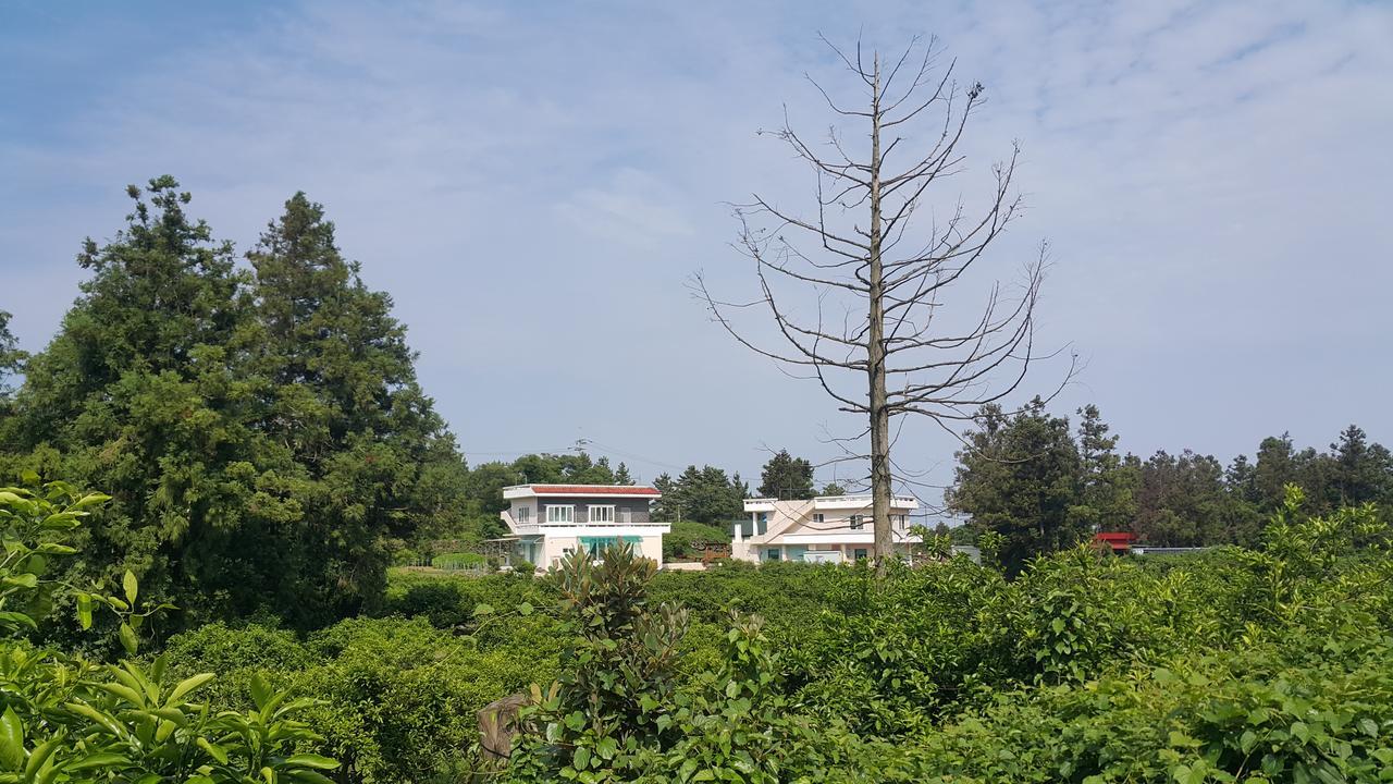 Jeju Mermuri Yerye-dong Bagian luar foto