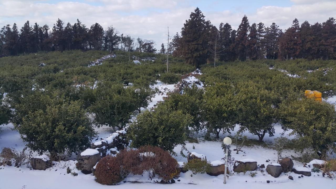 Jeju Mermuri Yerye-dong Bagian luar foto