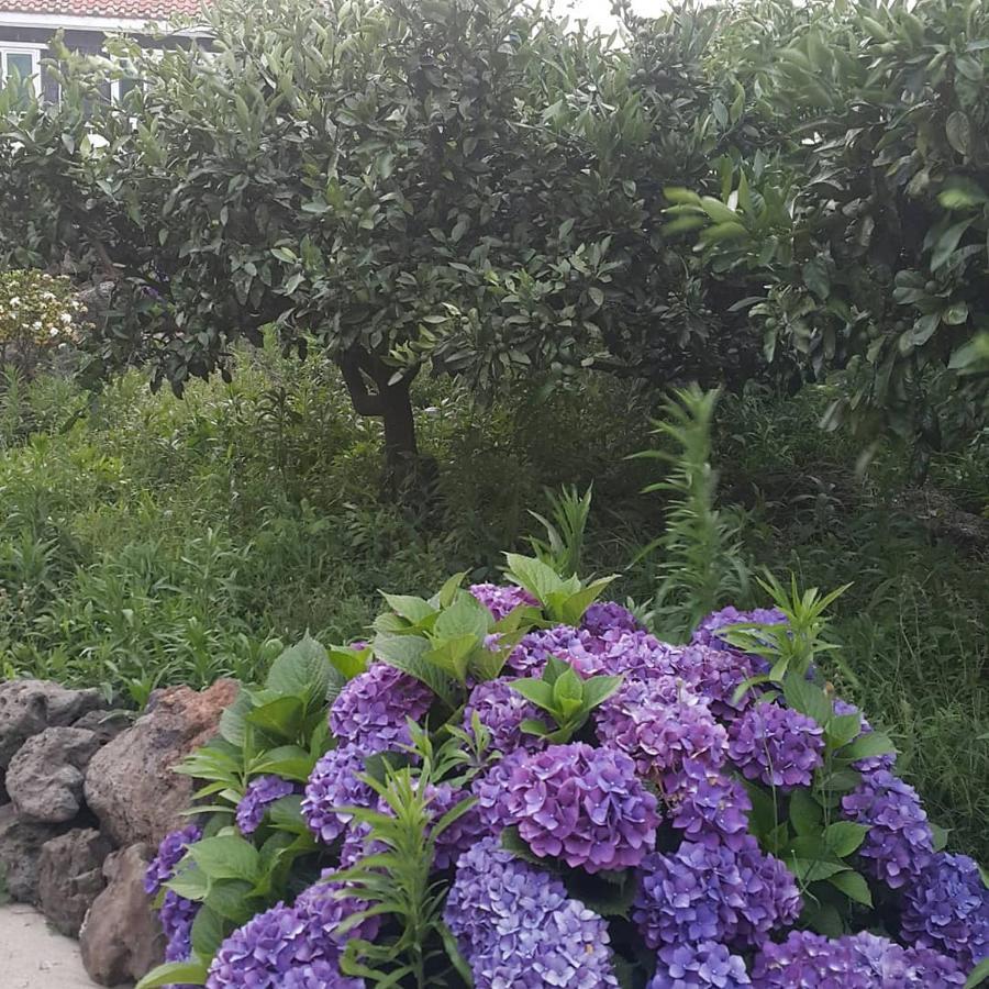 Jeju Mermuri Yerye-dong Bagian luar foto